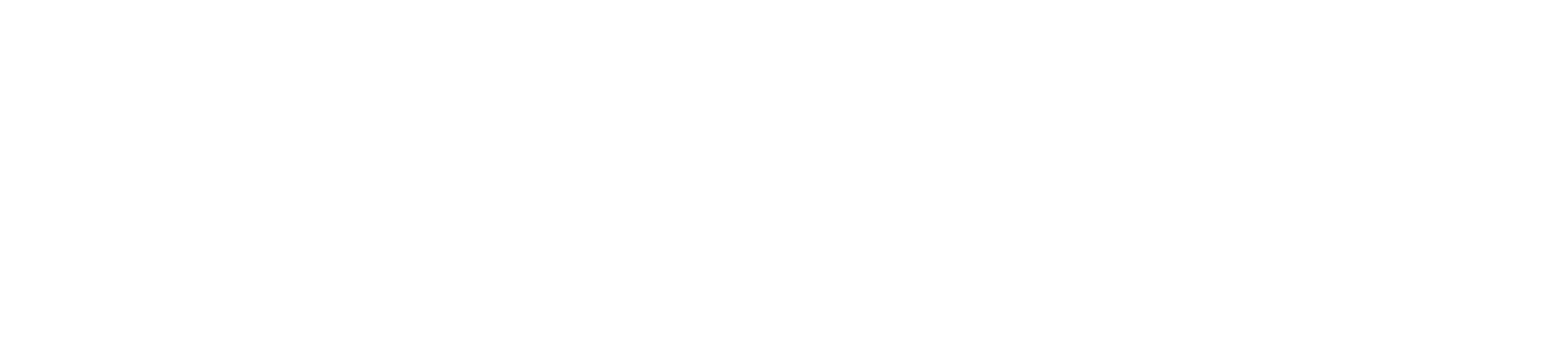 Your Micro Franchise